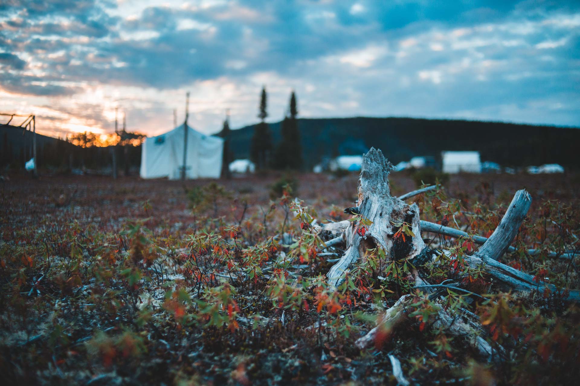 Innu Development Limited Partnership Happy ValleyGoose Bay